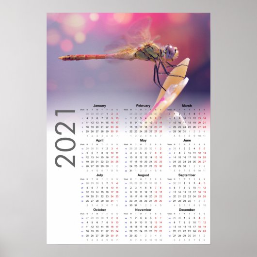 Libelle Kalender 2021 Poster - maandag start (Voorkant)