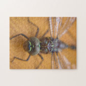 libelle legpuzzel (Horizontaal)