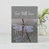 Libelle libellen worden snel beter kaart (Staand voorkant)