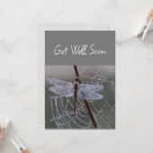 Libelle libellen worden snel beter kaart (Voorkant / Achterkant in situ)