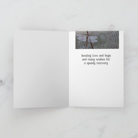 Libelle libellen worden snel beter kaart (Binnen)