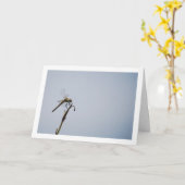 Libelle met wandelstok kaart (Gele Bloem)