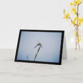 Libelle met wandelstok kaart (Gele Bloem)