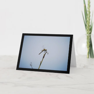 Libelle met wandelstok kaart