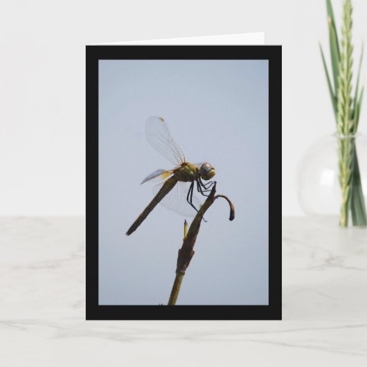 Libelle met wandelstok Portret Kaart (Voorkant)
