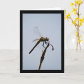 Libelle met wandelstok Portret Kaart (Gele Bloem)