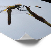 Libelle met wandelstok Portret Poster (Hoek)