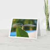 Libelle op groene blad kaart (Voorkant)