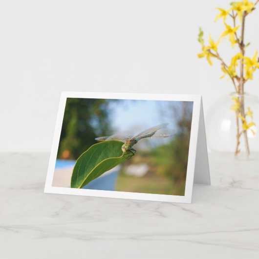 Libelle op groene blad kaart (Gele Bloem)