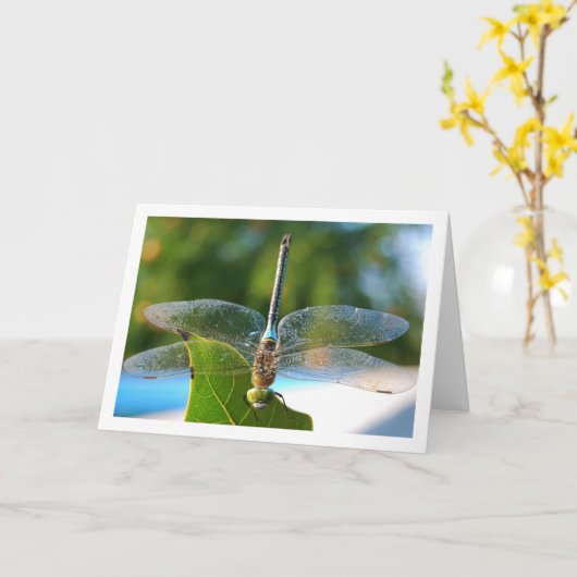 Libelle op groene blad kaart (Gele Bloem)