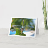 Libelle op groene blad kaart (Voorkant)