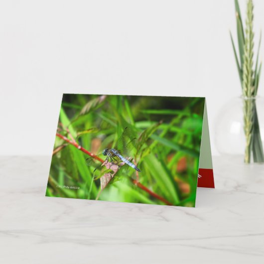 Libelle op rood blad kaart (Voorkant)