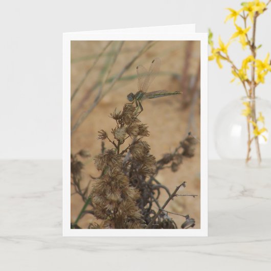 Libelle Portret Kaart (Gele Bloem)