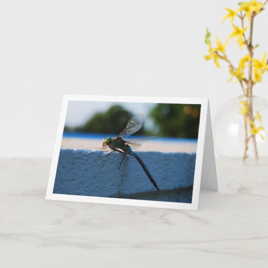 Libelle Portret Kaart (Gele Bloem)