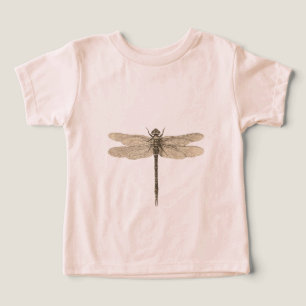 Libelle Vintage Antiek Klassieke Natuur