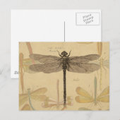 Libelle Vintage Antiek Klassieke Natuur Briefkaart (Voorkant / Achterkant)