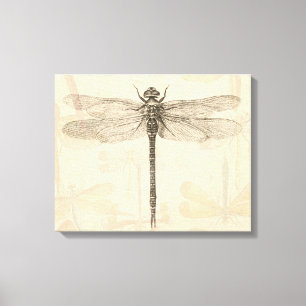 Libelle Vintage Antiek Klassieke Natuur Canvas Afdruk