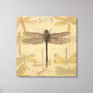 Libelle Vintage Antiek Klassieke Natuur Canvas Afdruk