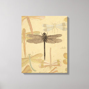 Libelle Vintage Antiek Klassieke Natuur Canvas Afdruk