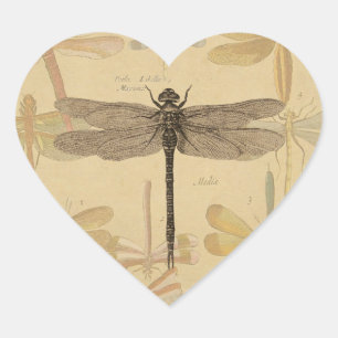 Libelle Vintage Antiek Klassieke Natuur Hart Sticker