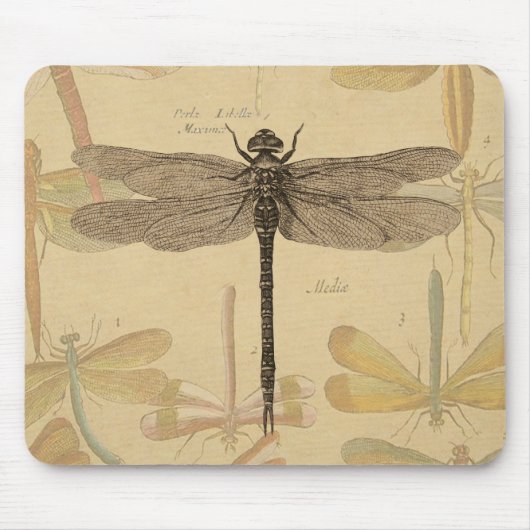 Libelle Vintage Antiek Klassieke Natuur Muismat (Voorkant)