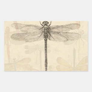 Libelle Vintage Antiek Klassieke Natuur Rechthoekige Sticker