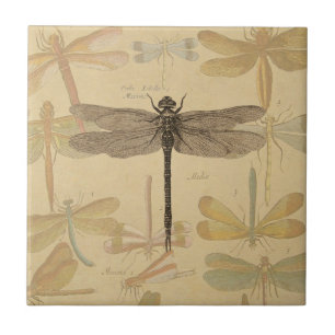 Libelle Vintage Antiek Klassieke Natuur Tegeltje