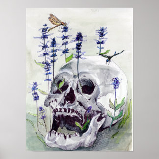 libellen, afdrukken poster