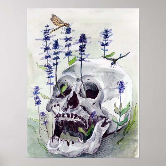 libellen, afdrukken poster (Voorkant)