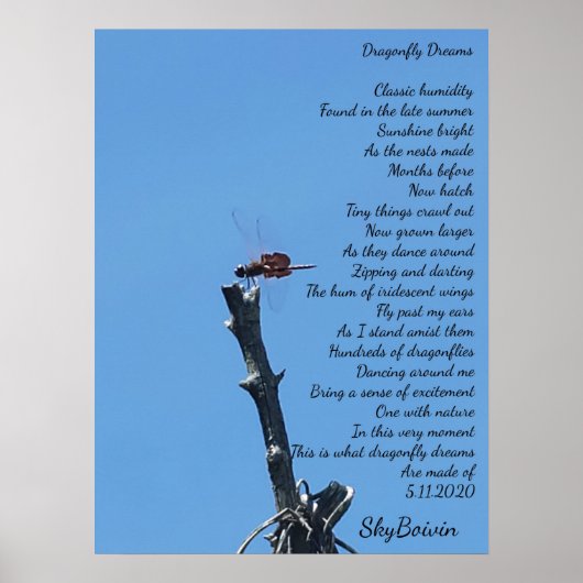 libellen dromen poster (Voorkant)