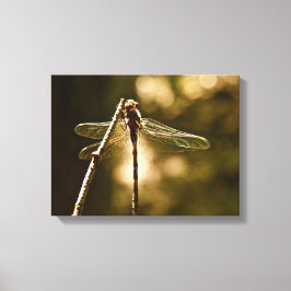 LIBELLEN EERSTE VLUCHT CANVAS AFDRUK