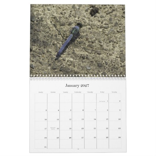 libellen en libellen kalender (Jan 2027)