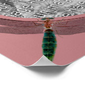 libellen en madeliefjes Creëer je eigen foto Poster (Hoek)