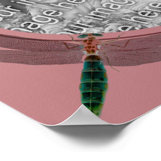 libellen en madeliefjes Creëer je eigen foto Poster (Hoek)