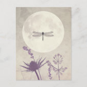 Libellen en Natuur Briefkaart (Voorkant)