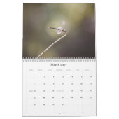 Libellen fotografische kalender (Mar 2027)