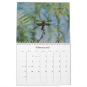 Libellen fotografische kalender (Feb 2027)