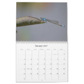 Libellen fotografische kalender (Jan 2027)