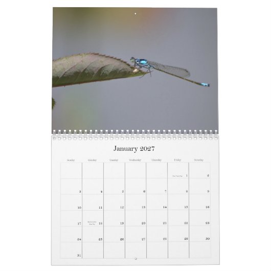 Libellen fotografische kalender (Jan 2027)