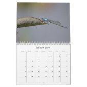 Libellen fotografische kalender (Jan 2026)