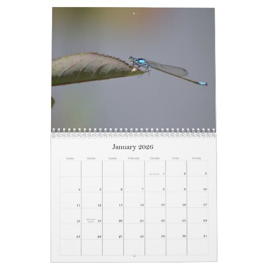 Libellen fotografische kalender (Jan 2026)