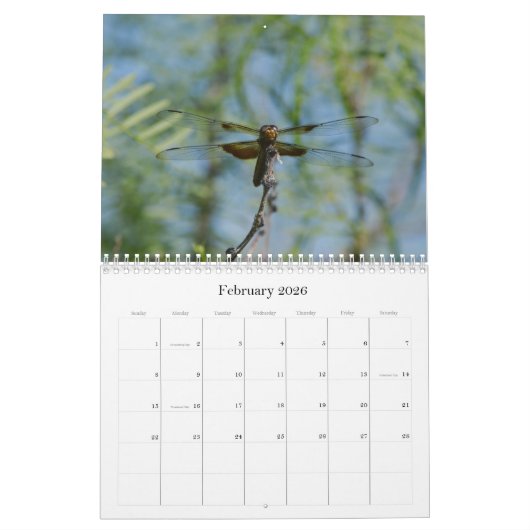 Libellen fotografische kalender (Feb 2026)