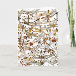 Libellen Galore! Wenskaart Kaart