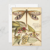 libellen met bladeren en vruchten briefkaart (Voorkant / Achterkant)