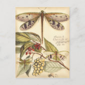 libellen met bladeren en vruchten briefkaart (Voorkant)