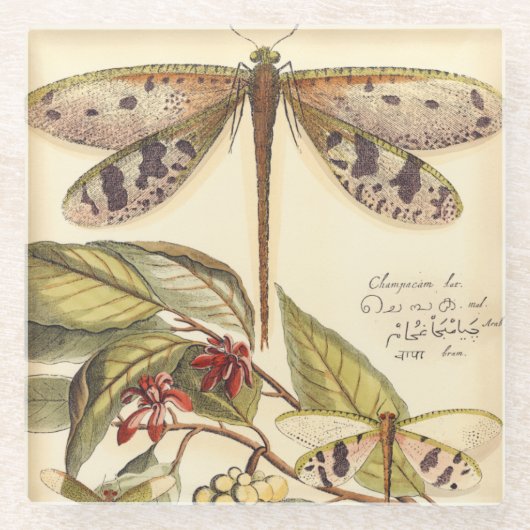 libellen met bladeren en vruchten glazen onderzetter (Voorkant)