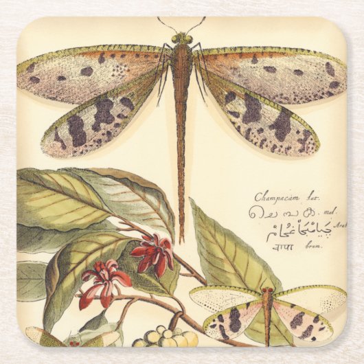 libellen met bladeren en vruchten kartonnen onderzetters (Voorkant)