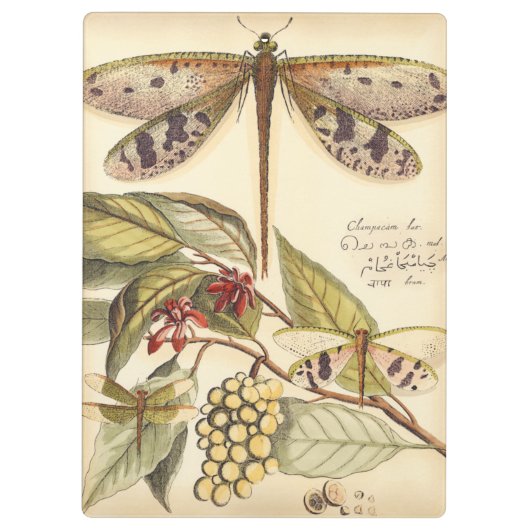 libellen met bladeren en vruchten klembord (Achterkant)
