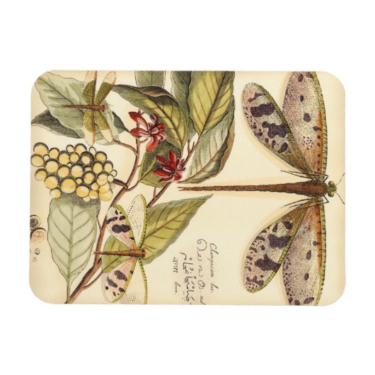 libellen met bladeren en vruchten magneet (Horizontaal)