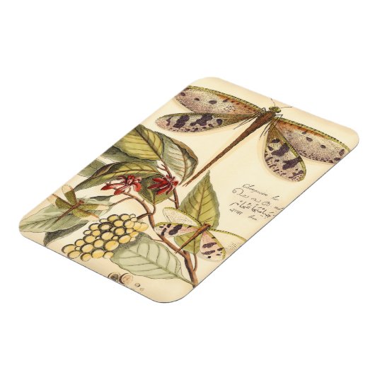 libellen met bladeren en vruchten magneet (Linkerzijde)